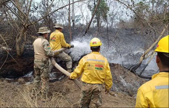 Los incendios forestales marcaron gran parte de la agenda informativa en 2024