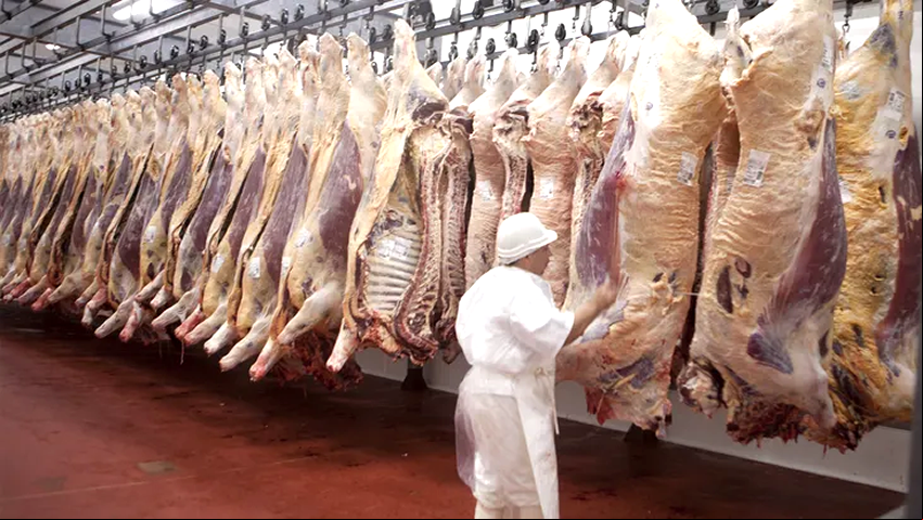 Santa Cruz y Beni son los mayores productores de carne en Bolivia