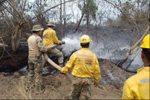 Los incendios forestales marcaron gran parte de la agenda informativa en 2024