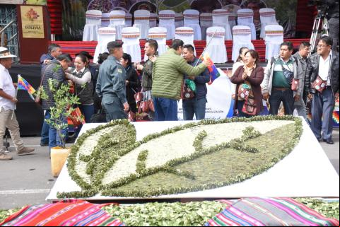 En Bolivia se conmemora el Día nacional del acullicu