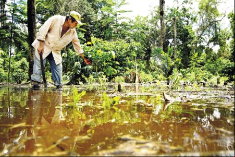 Inundaciones
