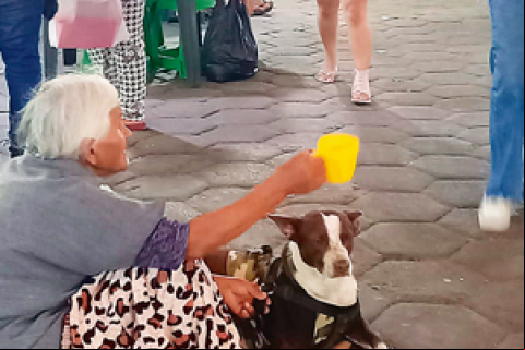 La pobreza se hace más evidente en los mercados