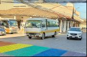 Paso de cebra del orgullo