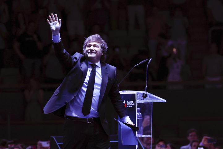 Javier Milei, presidente de Argentina /Foto: EFE